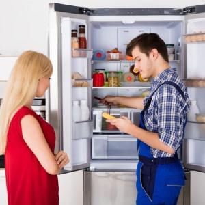 Inglis fridge repair